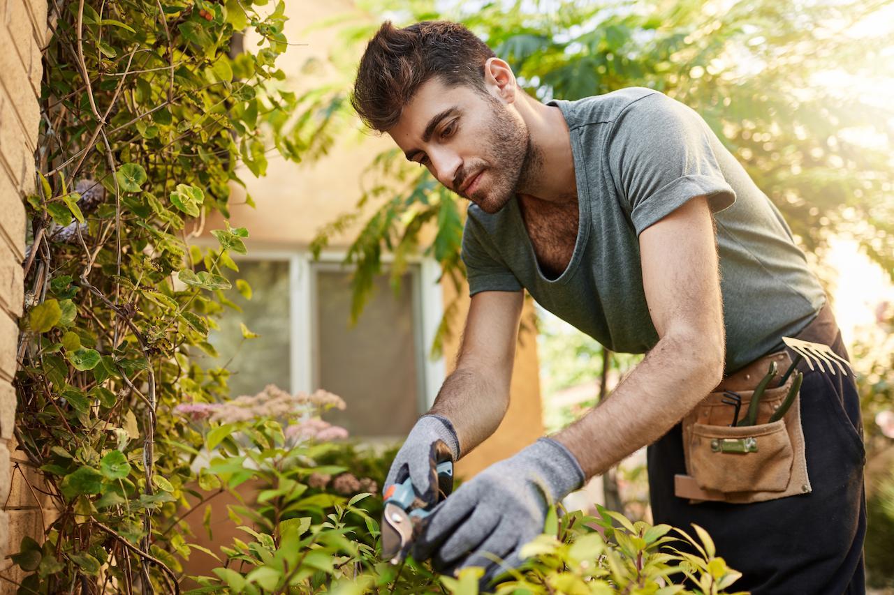Jardinería en Concepción — El Pololo